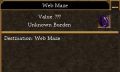 Web Maze.jpg
