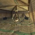 2.1N, 18.4E - Skeleton Tent Live 2.jpg