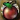 Cove Apple Icon.png