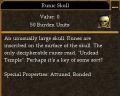 Runic Skull.jpg