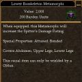 Lower Exoskeleton Metamorphi (Damage Rating).jpg