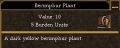 Berimphur Plant.jpg