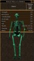 Bronze Statue of a Skeleton (Mammet).jpg