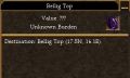Bellig Top Portal.jpg