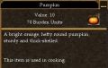 Pumpkin.jpg