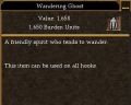 Wandering Ghost.jpg