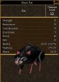 Black Rat.jpg