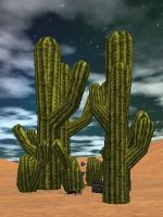 21.6S, 9.7E - Cactus Stand Live.jpg