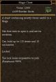 Magic Chest (Sand Temple).jpg