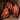Brown Beans Icon.png