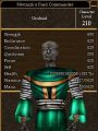 Nivinizk's Raid Commander.jpg